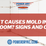 mold in bathroom