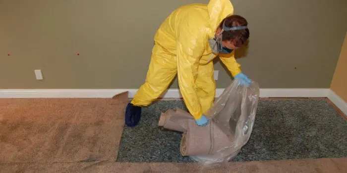 Power Day provides carpet drying services in Kansas City