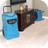 Carpet Drying Rain Water