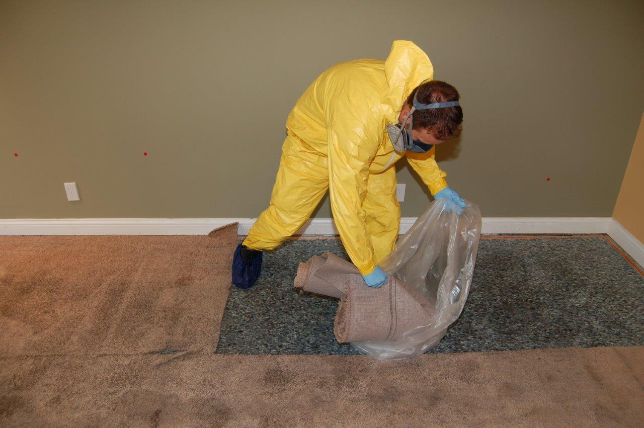 remove and dispose of carpet