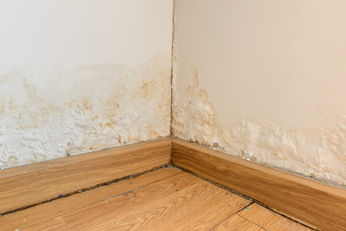 Signs of Drywall Water Damage