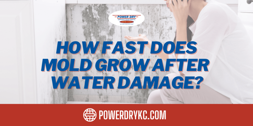 How Fast Does Mold Grow After Water Damage? - Power Dry