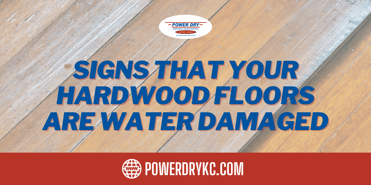 Signs That Your Hardwood Floors Are Water Damaged