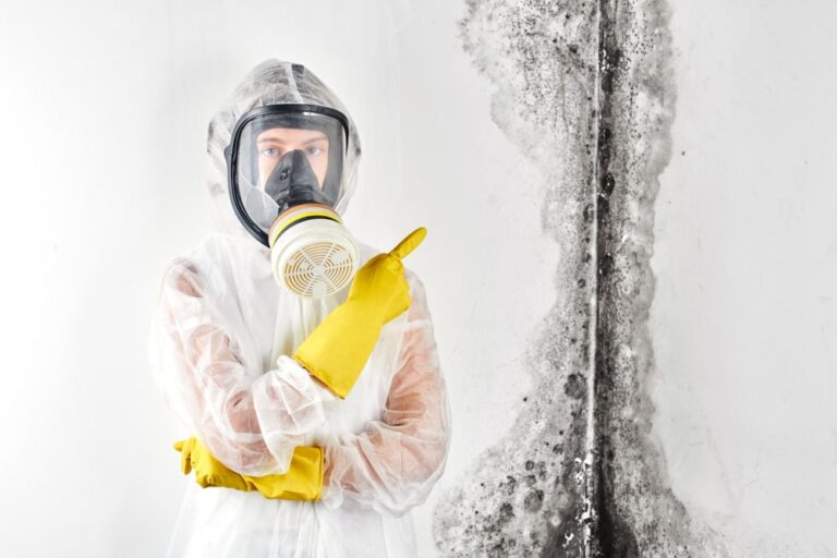 When Is DIY Mold Removal Not Such a Good Idea
