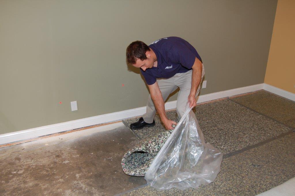 Carpet Drying Kansas City - Power Dry