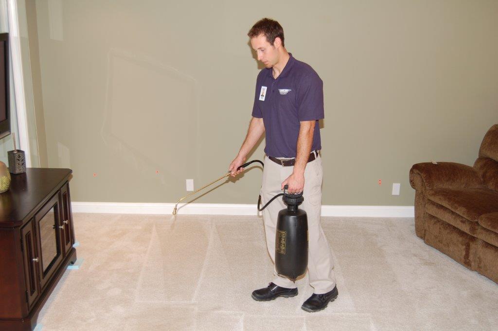 Carpet Drying Rain Water - Power Dry