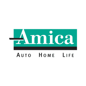 Amica-300x300