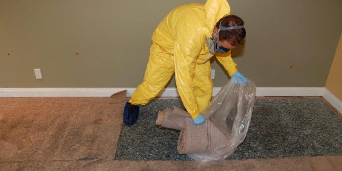 Power Day provides carpet drying services in Kansas City