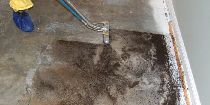 Mold being removed from house floor after water damage