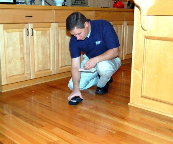 inspection of Hardwood Floor Water Damage as part of our restoration process
