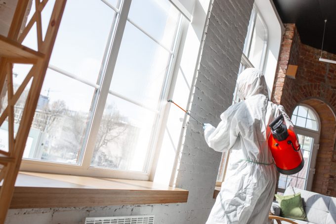 Mold Removal & Remediation in Kansas City