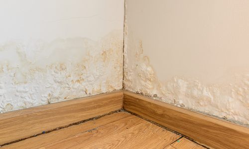 Wall Drying after house flood